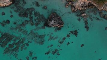 Top aerial view of the rocky shore and the clear blue-turquoise water washing the coast of the Dominican Republic in the rays of the setting sun. The sandy bottom is visible. video