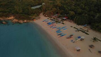 Aerial view of the harbor with colorful boats standing on the ocean shore. A beach near Puerto Plata on the Dominican Island. Sunset on the beach with numerous boats. Travel, nature. video