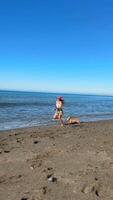 A joyful child is playing at the beach on a beautiful sunny day filled with laughter and excitement video