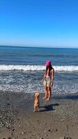 A joyful girl enjoying playtime with her dog on a sunny beach, creating cherished memories together video