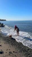 A Wonderful Beach Day Filled with Fun, Waves, and Time Spent with My Beloved Dog video