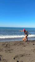 A Wonderful and Joyful Day at the Beautiful Beach, Enjoying Quality Time with a Happy Dog video