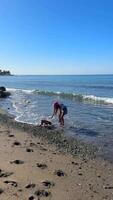 Children playing joyfully at the beach on a bright, sunny day, enjoying their time together video