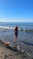 Spending a delightful and sunny day at the beautiful beach while enjoying time with a dog video