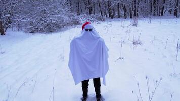 Man dancing wearing ghost costume with sunglasses and Santa's hat in winter forest. Pine and fir trees forest covered in snow. Aerial landscape from drone view. Christmas is coming. Cold frosty winter season nature background. View from above video