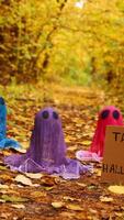 Halloween holiday concept. Handmade colorful ghosts made from bandages with cardboard TAKE ME TO HALLOWEEN text and glue in autumn forest background. Children's art project. DIY concept. video