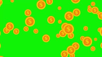 Gold coin falling down animation in cartoon style on green screen background video