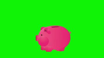 Piggy bank animation with falling pennies on a green screen background suitable as an illustration about saving. video
