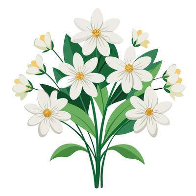 a bouquet of white flowers on a white background