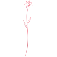 Simple pink flower with a stem on a transparent background png