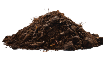 Pile of farmyard manure isolated, decomposed mixture of dung and urine of farm animals or fodder fed to the cattle. png