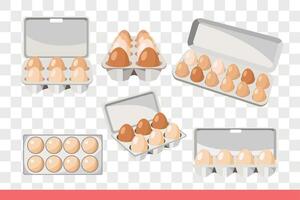 Trays with eggs, viewed from different angles, for design store selling farm products. vector