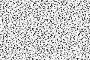 Painted spotted seamless pattern. Black and white background. hand drawn tiny abstract shapes dots, drops, spots, snowflakes print. Contemporary ornament. vector