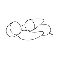Line sketch art cassava unique design with blank background vector