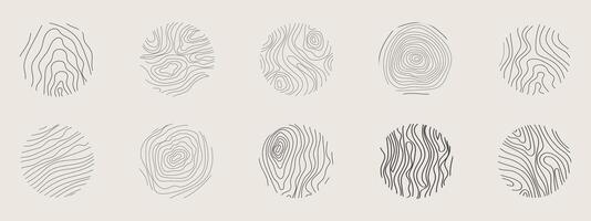 Golden thin line tree ring collection. Elegant gold wooden section texture circle. Topography map geographic grid contour. Wood stump timber. vector