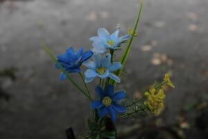 artificial flowers with a bokeh background photo