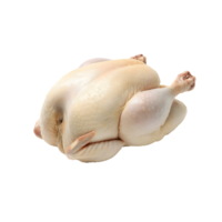whole raw chicken with detailed skin texture on isolated background, fresh uncooked poultry, high-resolution image of raw chicken png