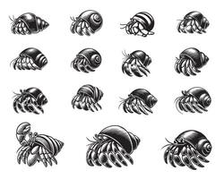 Collection Of Hermit Crab illustration in black and white vector