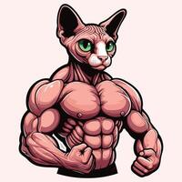 poderoso muscular sphynx gato ilustración flexionando gato con carrocero físico vector