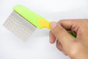 flea comb in green and yellow on a white background photo