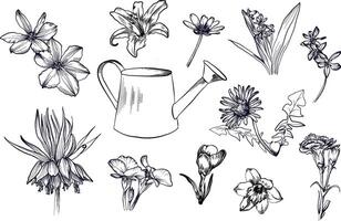 a set of hand-drawn watering cans and flowers clematis, imperial grouse, lily, primrose, crocus, lily vector