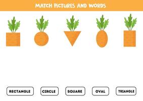 Match cartoon carrots with names of geometrical shapes. vector