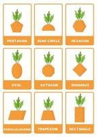 Carrots in geometrical shapes. 2d shapes with names. vector