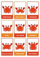 Red crabs in geometrical shapes. 2d shapes with names. vector