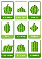 Cartoon watermelons in geometrical shapes. 2d shapes with names. vector