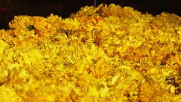 Piled up flowers in a flower shop photo