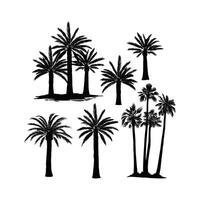 palm florida tree color one illustration vector