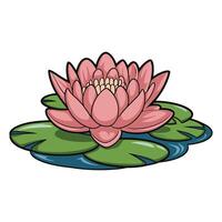 Pink Lotus Blossom Floating on Tranquil Lily Pads Illustration vector