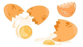 Fresh and boiled eggs. Cartoon broken eggs with cracked eggshell and egg half with yolk. Flat illustration isolated on the white background vector