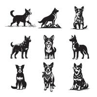 Collection of Australian Cattle Dog illustration - Australian Cattle Dog Different Activities Clipart Design vector