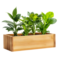 Wooden Planter Box with Flourishing Green Plants Isolated on a Transparent Background png