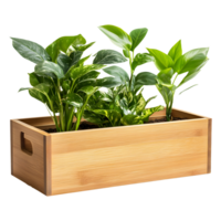 Elegant Wooden Planter Box with Thriving Greenery Isolated on a Transparent Background png