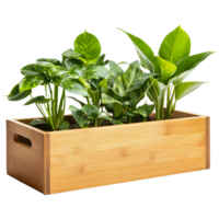 Natural Wooden Planter Box with Fresh Green Foliage Isolated on a Transparent Background png