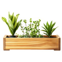 Rustic Wooden Planter Box Filled with Greenery, Isolated for Seamless Use on a Transparent Background png