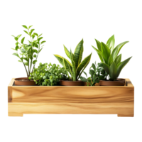 Rustic Wooden Planter Box with Healthy Green Plants Isolated on a Transparent Background png