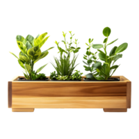 Charming Wooden Planter Box with Beautiful Plants Isolated on a Transparent Background png