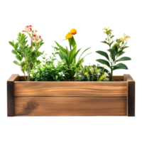 Blooming Elegance Transparent Background Planter png