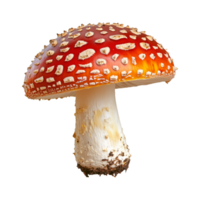 a red mushroom with white spots isolated on a transparent background png
