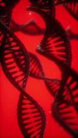 structure of the DNA double helix animation video