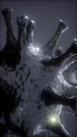 Bacteria virus or germs microorganism cells under microscope with depth video