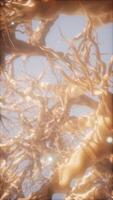 Journey through a neuron cell network inside the brain video