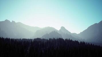 A view of a mountain range with trees in the foreground video