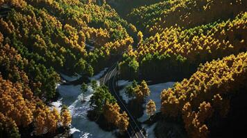 A scenic view of a road surrounded by trees. beautiful sunset video