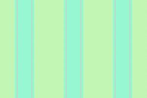 Textile background lines of pattern vertical with a seamless stripe texture fabric. vector