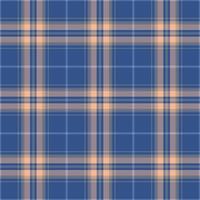 Plaid seamless pattern. background of textile ornament. Flat fabric design. vector