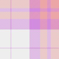 Scenery textile tartan fabric, contour texture plaid. Festival background check seamless pattern in white and light colors. vector
